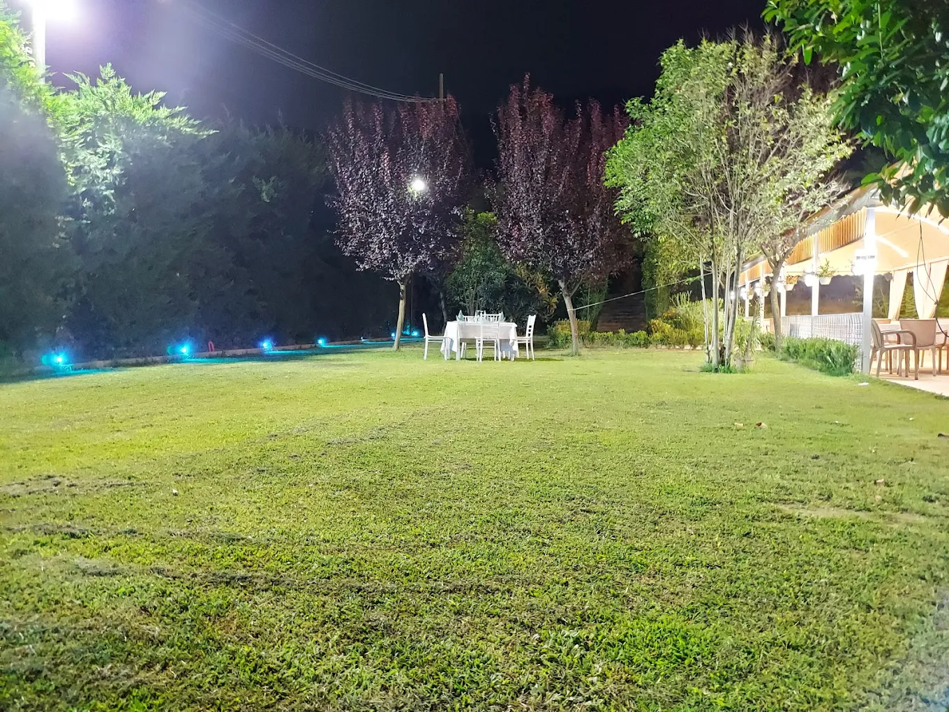 Pjata tradicionale shqiptare